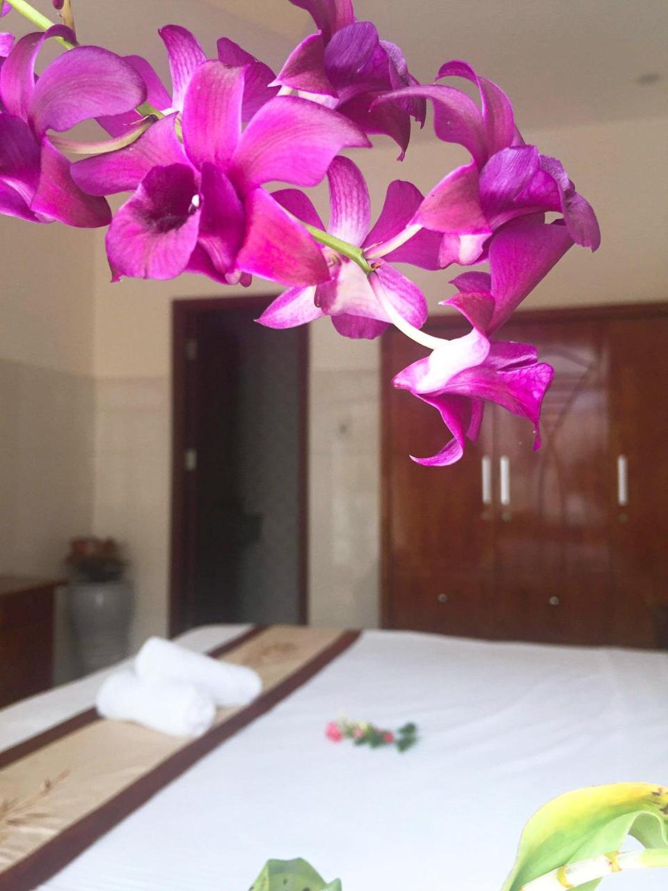 Holy Land Homestay Hoi An Exterior photo